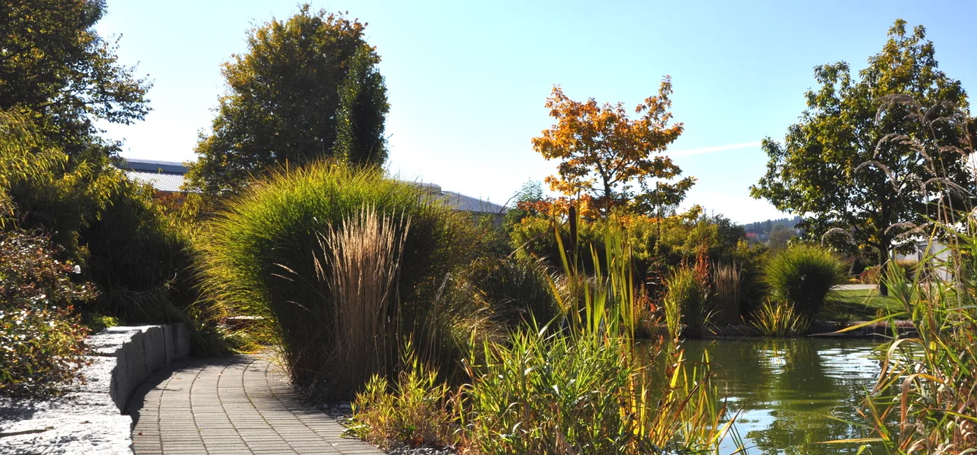 Fertiggestellter Garten mit Rasen, Beeten und Gehölzen