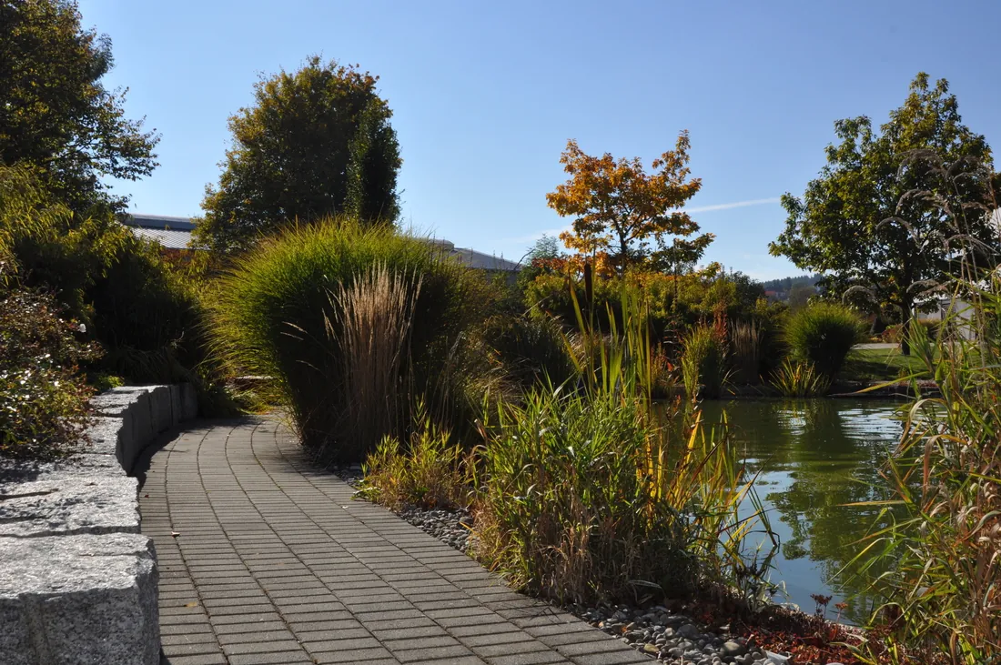 Neu gestalteter Hausgarten mit gepflasterter Terrasse und Bepflanzung