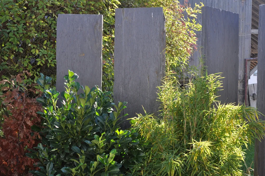Gartenanlage mit Gehölzen